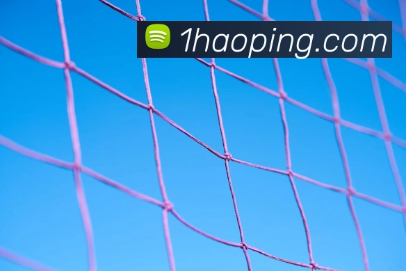 壹号娱乐品牌故事