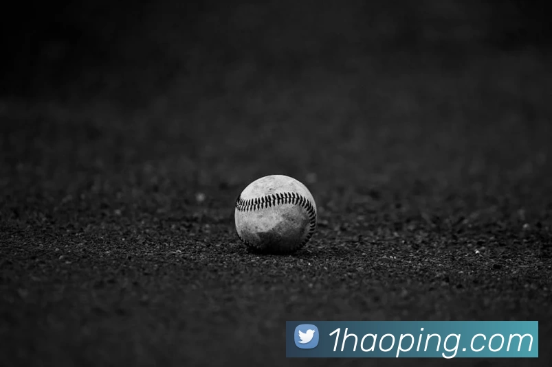 壹号娱乐服务体系